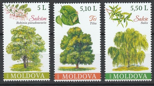 Moldavia 2025 natura piante - 2025, natura,